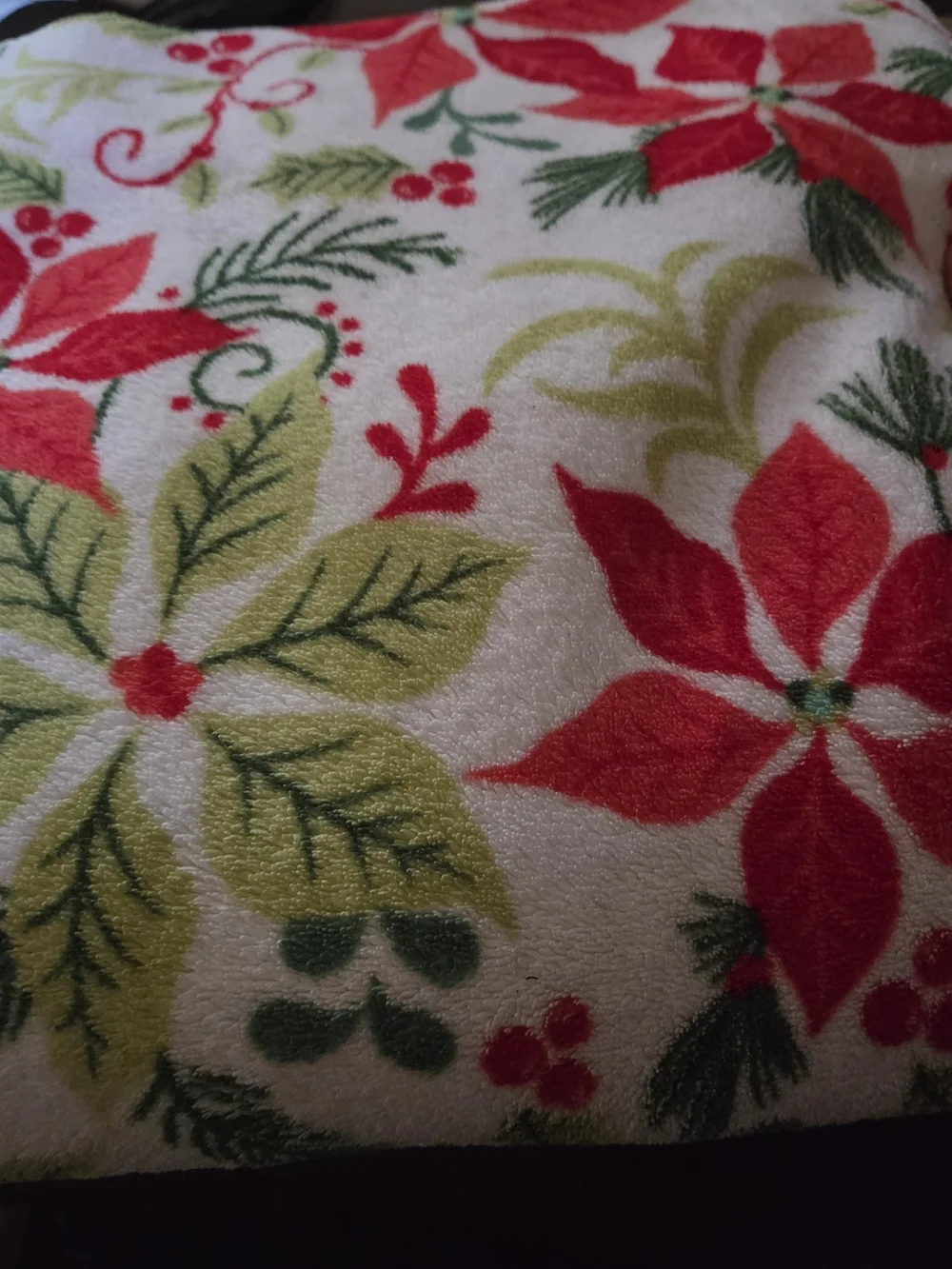Holiday Poinsettia Plush Throw Blanket - Red, Green & Aqua 52x68